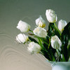 Clear Baroque