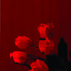Waterglass Cherry Red