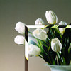 Clear Bevel
