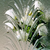 Clear Fountain