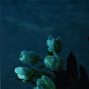 Waterglass Blue