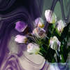 Amethyst Baroque