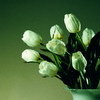 Antique Light Green