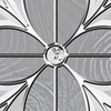 Expressions Satin Nickel Caming