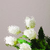 Cathedral Rose