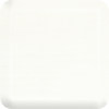 Ivory Paint