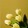 Antique Pale Amber