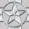 Elegant Star Nickel Caming