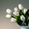 Antique Clear
