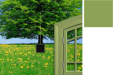 <b>Green Colors</b>