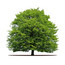 Sustainable Solutions
